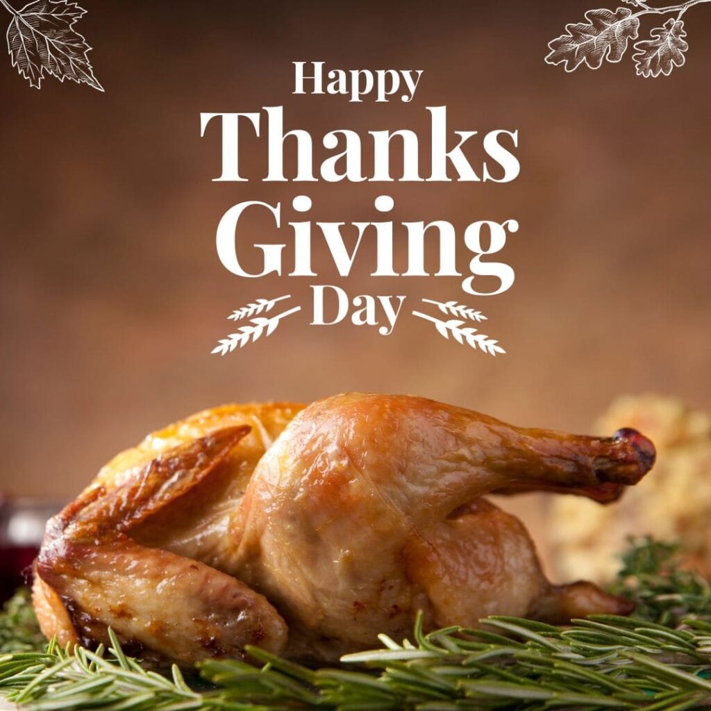 Happy Thanksgiving Day Turkey Images