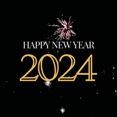Happy New Year 2024 Fireworks GIF