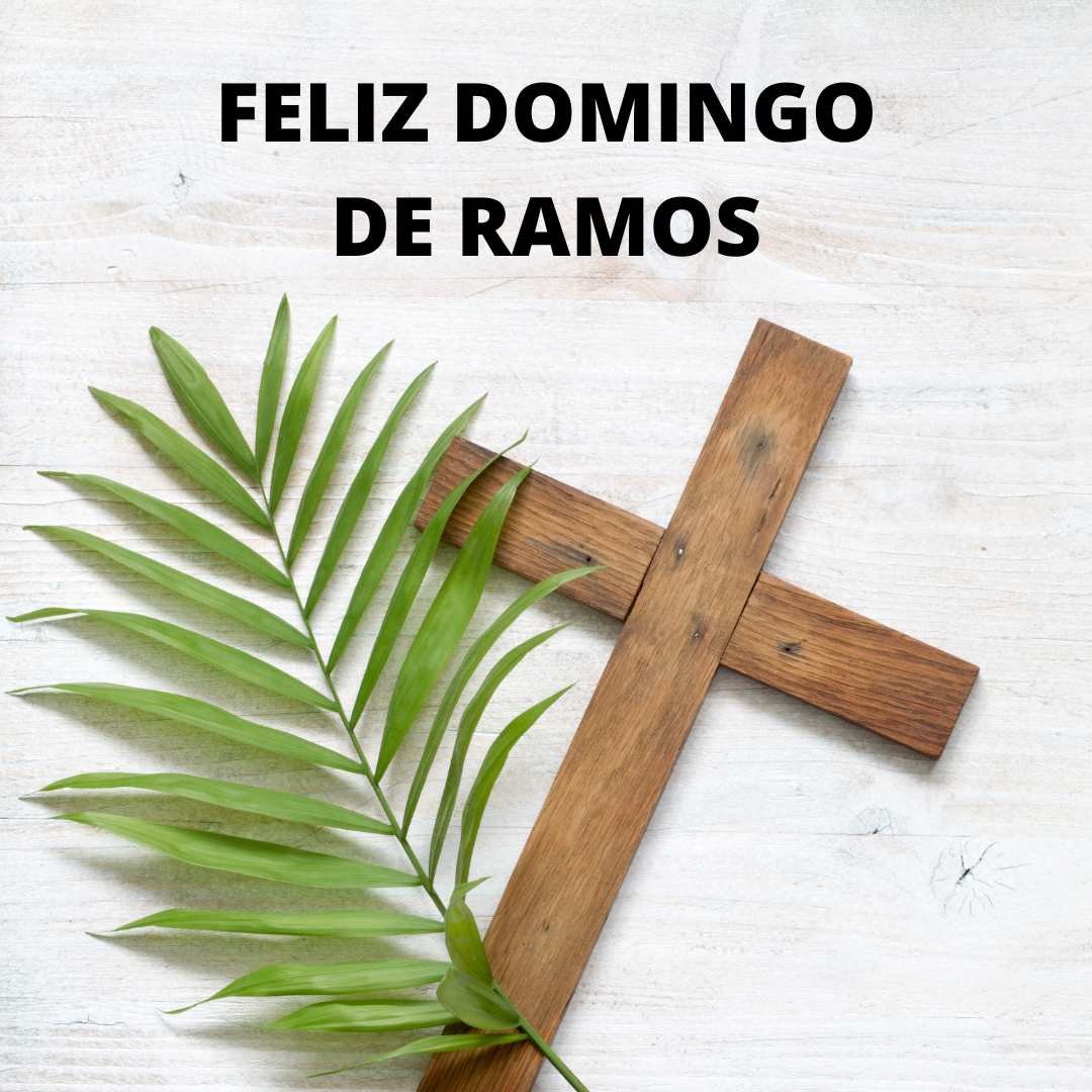 Feliz Domingo de Ramos 2024 Imágenes, Frases, Tarjetas y Mensajes
